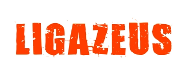 Ligazeus